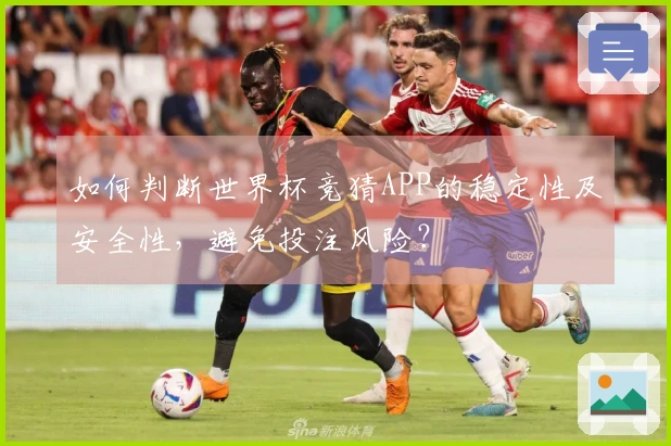 如何判断世界杯竞猜APP的稳定性及安全性，避免投注风险？