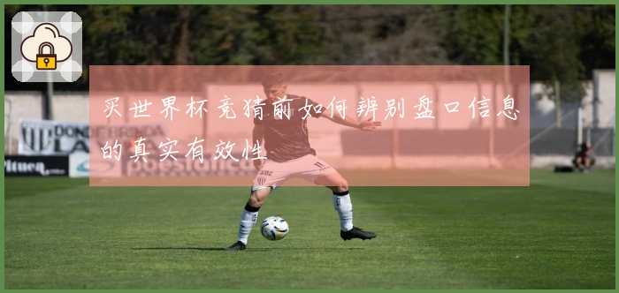 买世界杯竞猜前如何辨别盘口信息的真实有效性