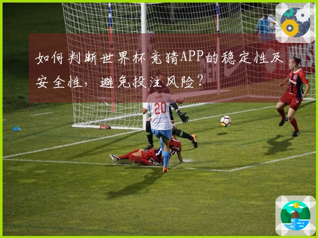 如何判断世界杯竞猜APP的稳定性及安全性，避免投注风险？