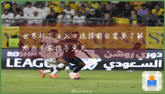 世界杯下注入口选择前你需要了解哪些专家指导意见