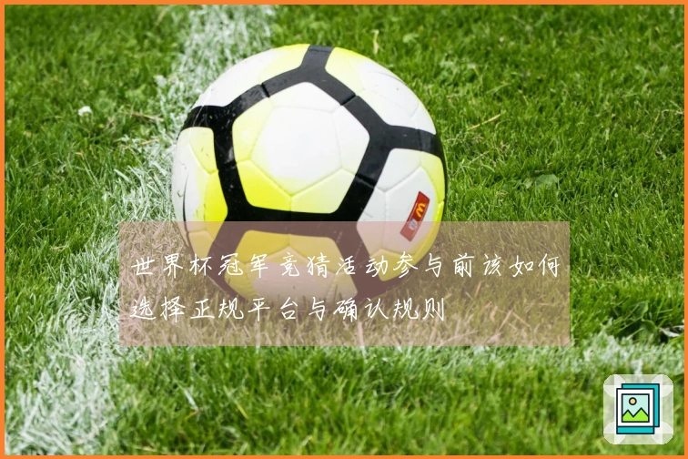 世界杯冠军竞猜活动参与前该如何选择正规平台与确认规则