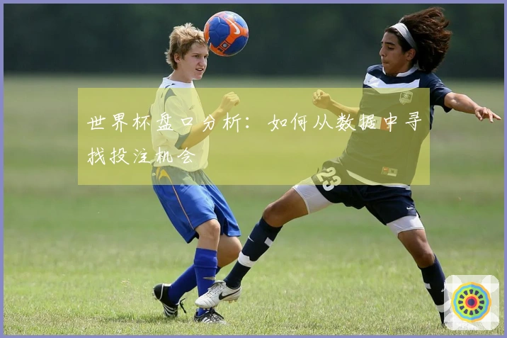 世界杯盘口分析：如何从数据中寻找投注机会