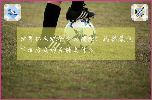 世界杯买球平台大揭秘：选择最佳下注方式的关键是什么